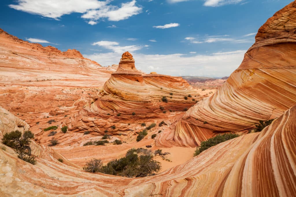 Paysage désertique avec formations rocheuses ondulées dans des tons rouges et ocres