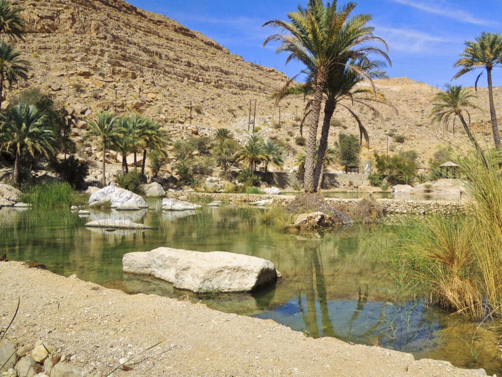 Oasis naturelle avec eau claire, palmiers et rochers dans un wadi omanais