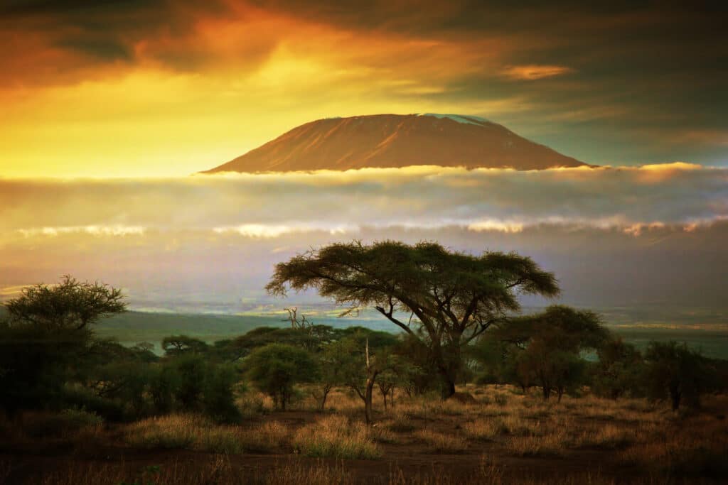 Vue panoramique sur le mont Kilimandjaro en Tanzanie au coucher du soleil avec acacias en premier plan
