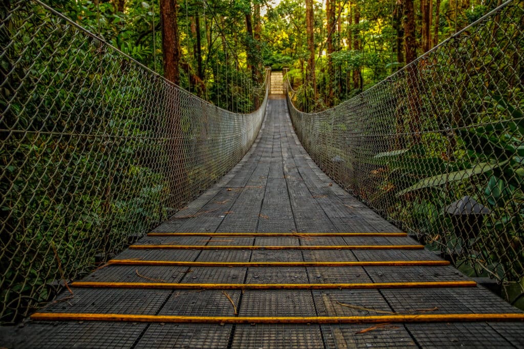 Pont suspendu traversant la forêt tropicale au Costa Rica