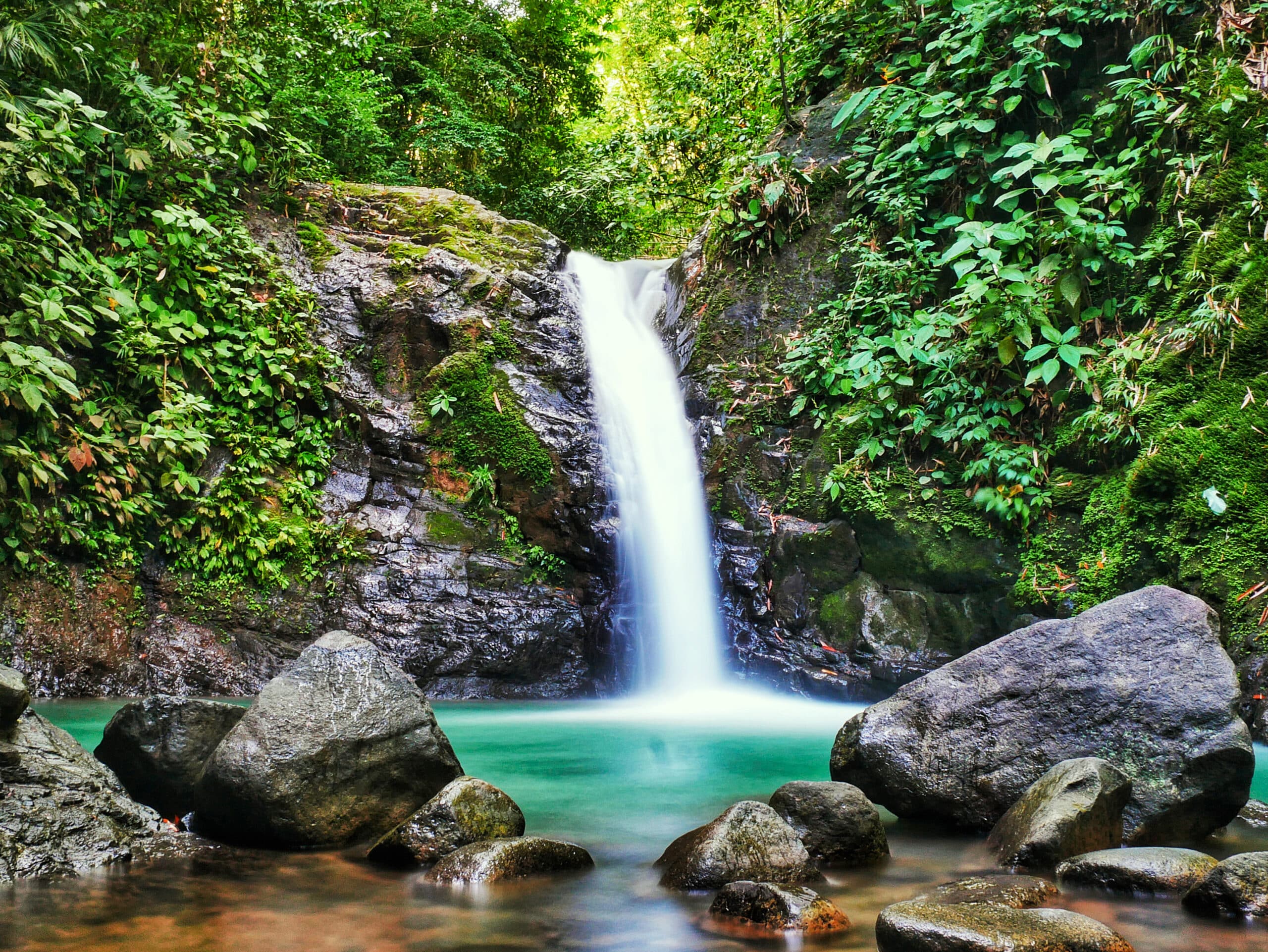 http://Cascade%20entourée%20de%20végétation%20tropicale%20dans%20la%20jungle%20du%20Costa%20Rica