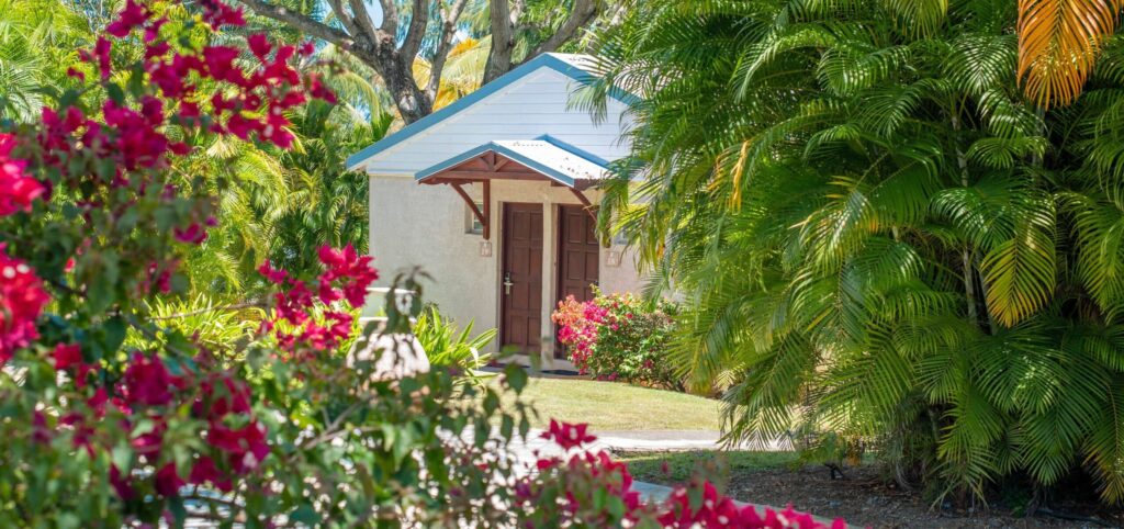 Petit bungalow entouré de végétation tropicale et de fleurs colorées