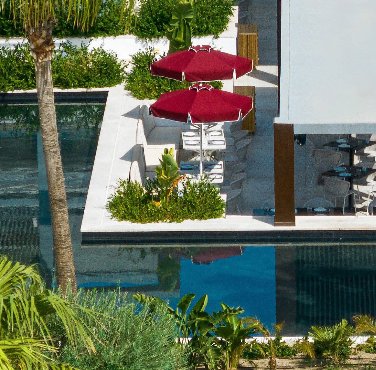 http://Terrasse%20extérieure%20avec%20parasols%20rouges,%20végétation%20tropicale%20et%20espace%20détente%20dans%20un%20hôtel%20de%20luxe.