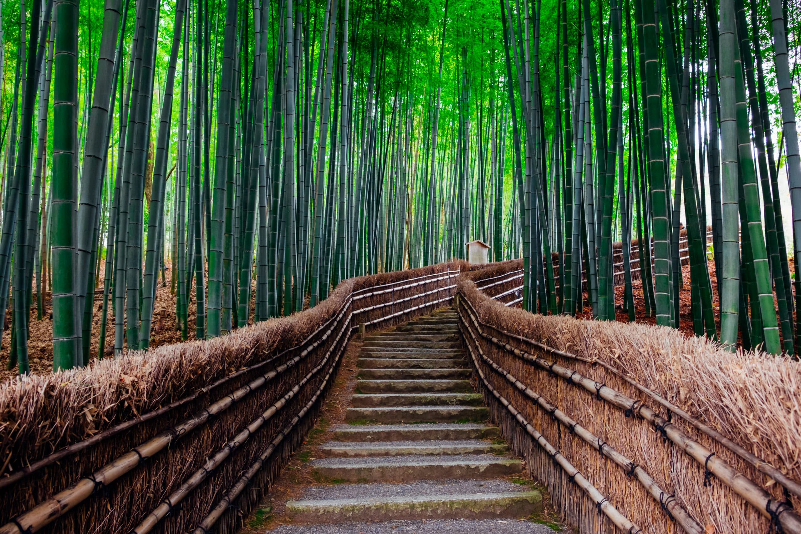 http://Sentier%20au%20cœur%20de%20la%20forêt%20de%20bambous%20d'Arashiyama%20à%20Kyoto,%20un%20lieu%20magique%20et%20paisible.