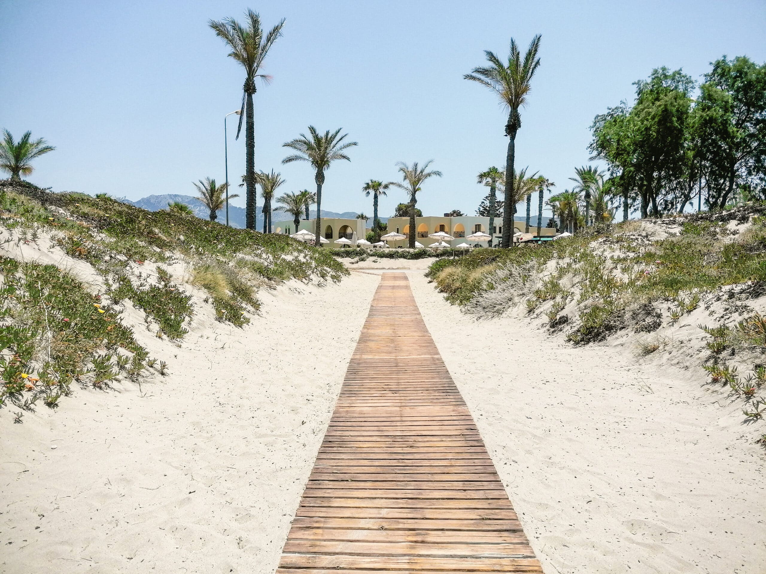 http://Allée%20en%20bois%20traversant%20les%20dunes%20vers%20l’hôtel,%20bordée%20de%20palmiers