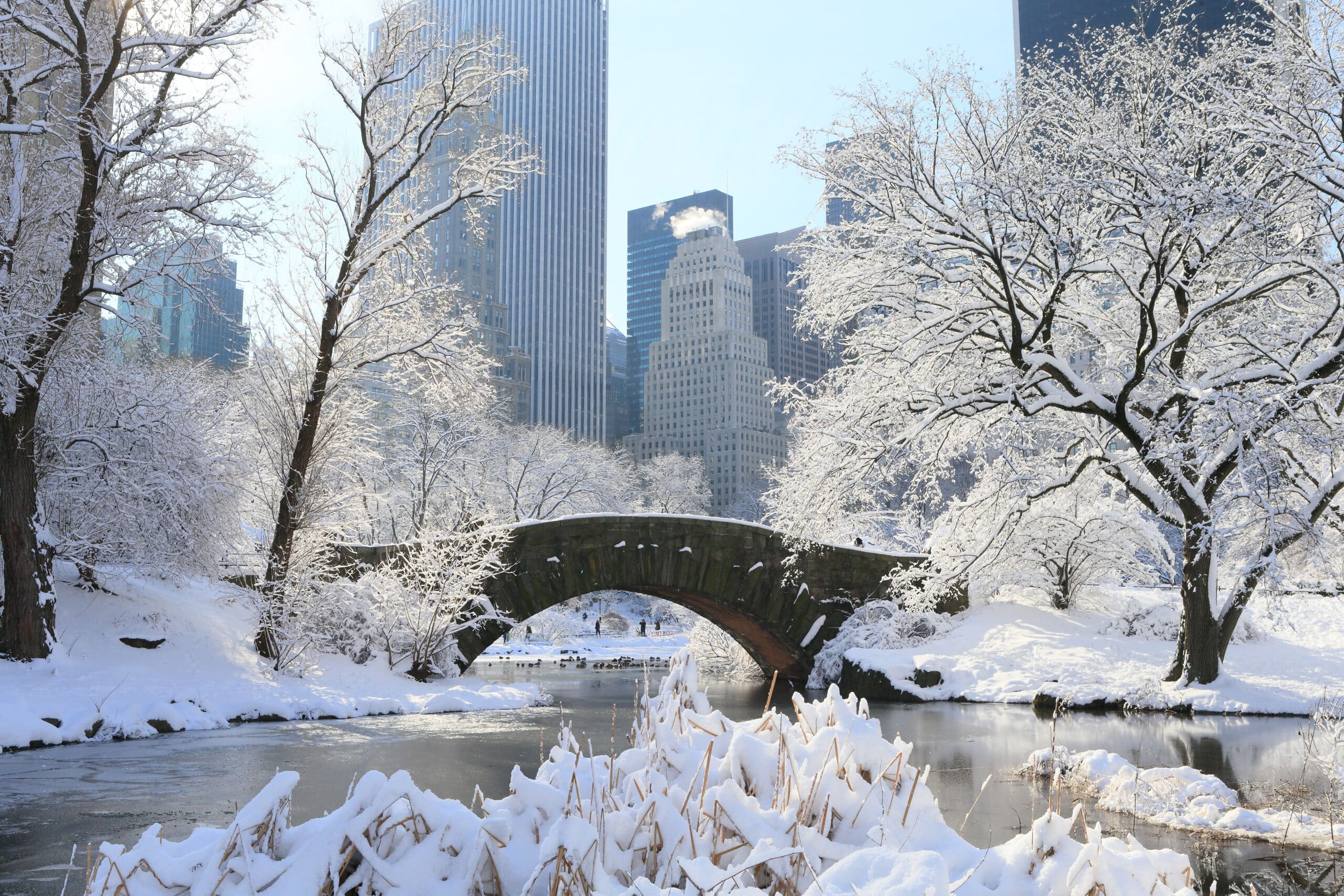 http://Central%20Park%20recouvert%20de%20neige%20en%20hiver%20avec%20les%20immeubles%20en%20arrière-plan.Central%20Park%20recouvert%20de%20neige%20en%20hiver%20avec%20les%20immeubles%20en%20arrière-plan.