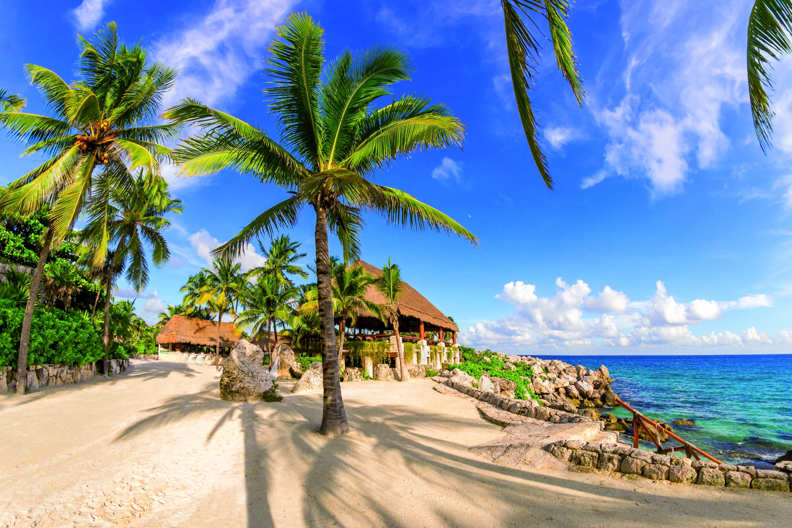 http://Palmiers%20tropicaux%20sur%20une%20plage%20de%20sable%20blanc%20face%20à%20la%20mer%20turquoise%20au%20Mexique
