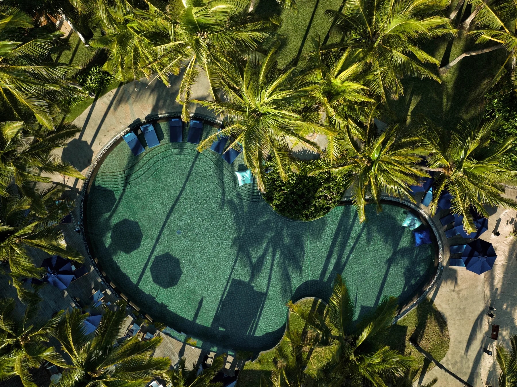 http://Vue%20aérienne%20d’une%20piscine%20en%20forme%20libre%20entourée%20de%20palmiers%20dans%20un%20resort%20tropical%20à%20l’île%20Maurice.
