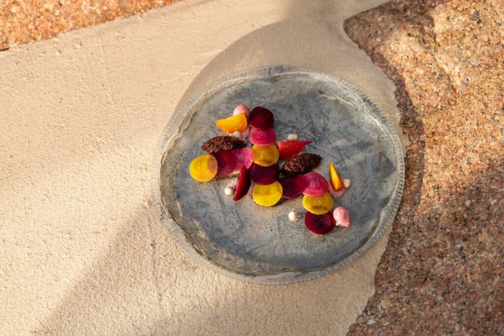 Plat gastronomique coloré et raffiné à base de légumes, présenté sur une assiette texturée en extérieur.