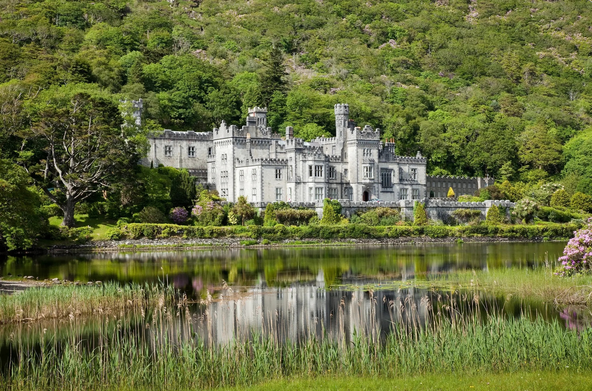 http://Château%20entouré%20de%20verdure%20avec%20un%20lac%20en%20premier%20plan%20reflétant%20l’édifice.