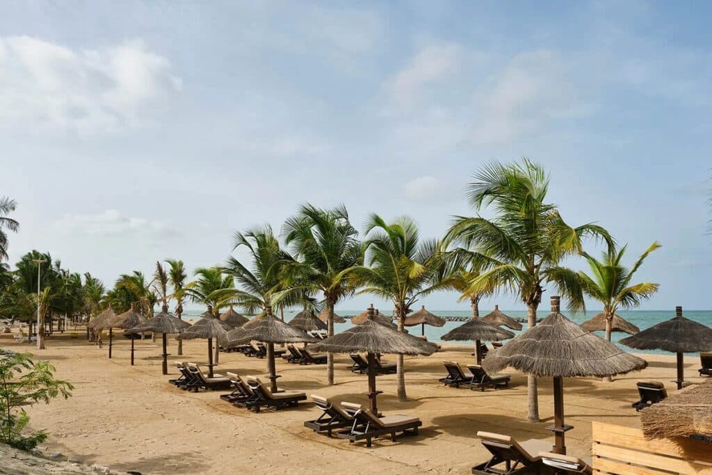 plage sénégalaise bordée de palmiers avec rangée de transats en bois et parasols en chaume face à la mer