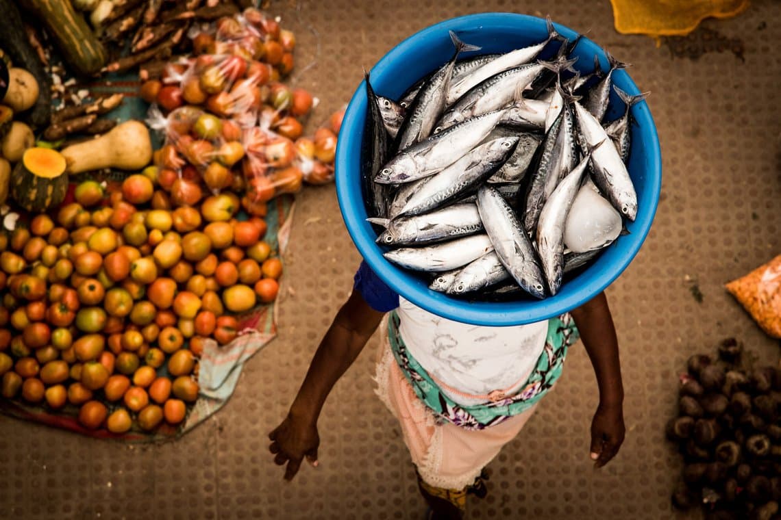 http://Femme%20portant%20un%20seau%20rempli%20de%20poissons%20frais%20sur%20la%20tête%20dans%20un%20marché%20africain%20aux%20étals%20colorés.
