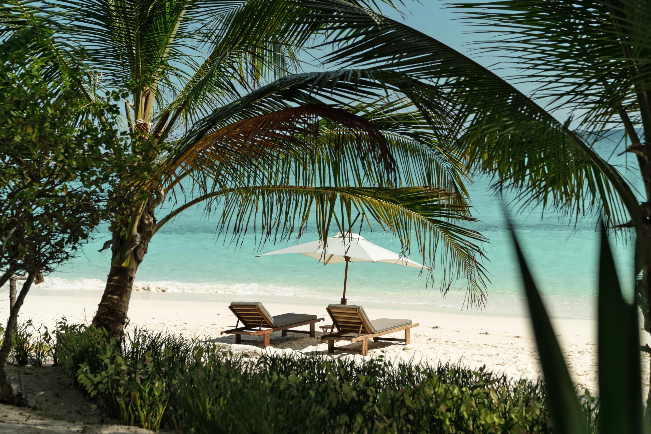http://Transats%20en%20bois%20sous%20un%20parasol%20sur%20une%20plage%20de%20sable%20blanc%20bordée%20de%20palmiers