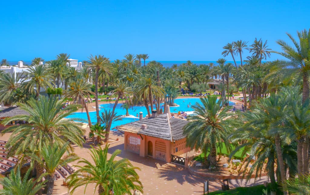 Piscine de l’hôtel au milieu des palmiers avec vue mer, dans un environnement luxuriant.