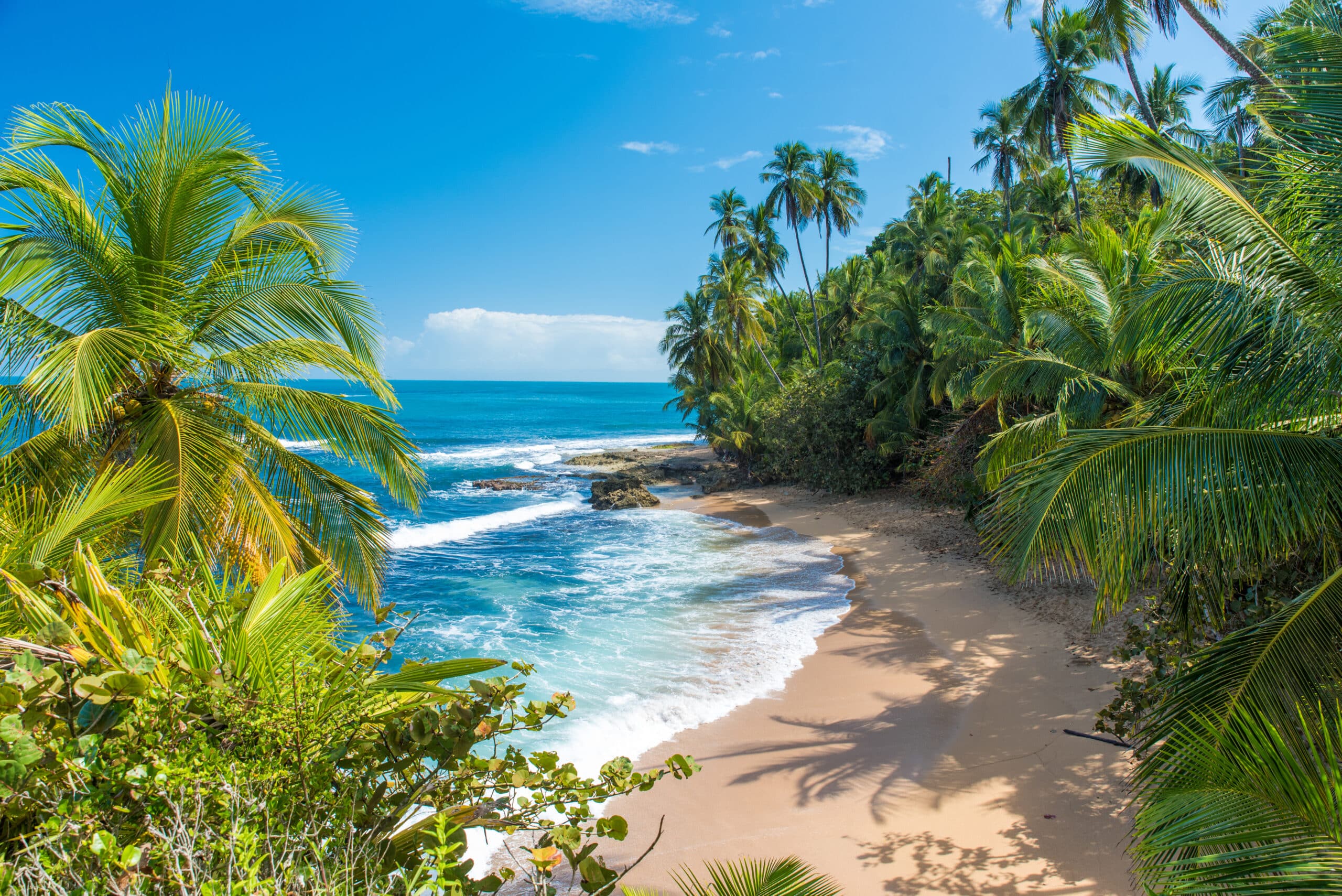 http://Plage%20bordée%20de%20palmiers%20avec%20sable%20doré%20et%20eau%20turquoise%20sur%20la%20côte%20pacifique%20du%20Costa%20Rica