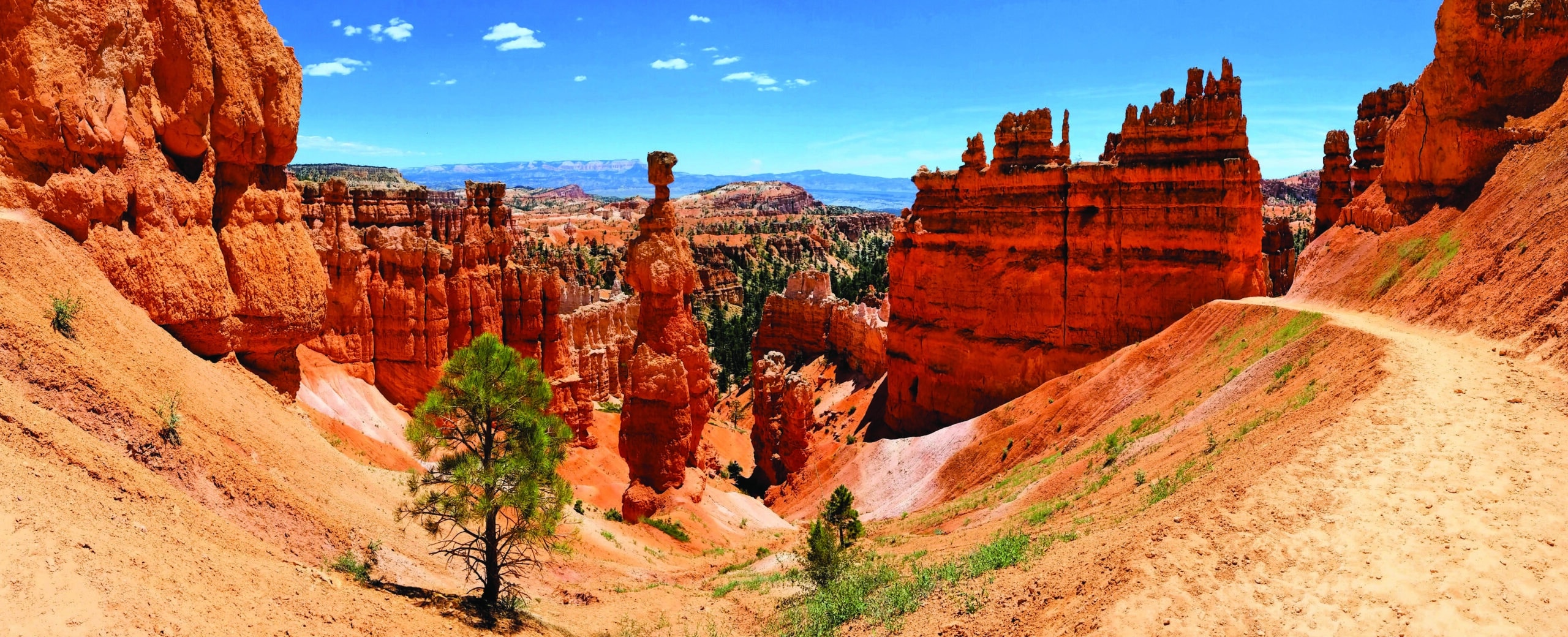 http://Paysage%20de%20hoodoos%20rouges%20dans%20le%20parc%20national%20de%20Bryce%20Canyon%20en%20Utah