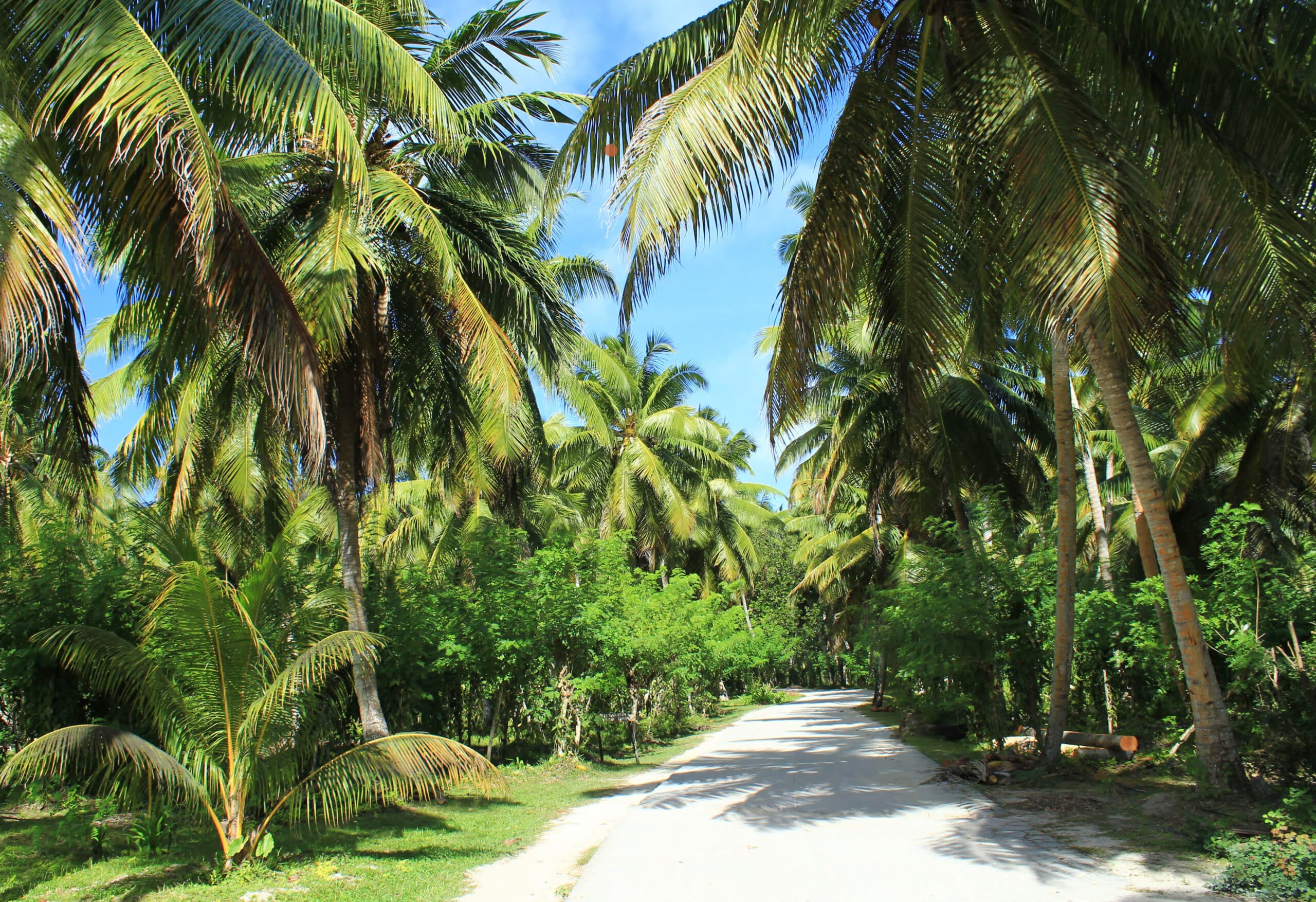 http://Chemin%20ombragé%20par%20des%20palmiers%20tropicaux%20sur%20l’île%20de%20La%20Digue%20aux%20Seychelles