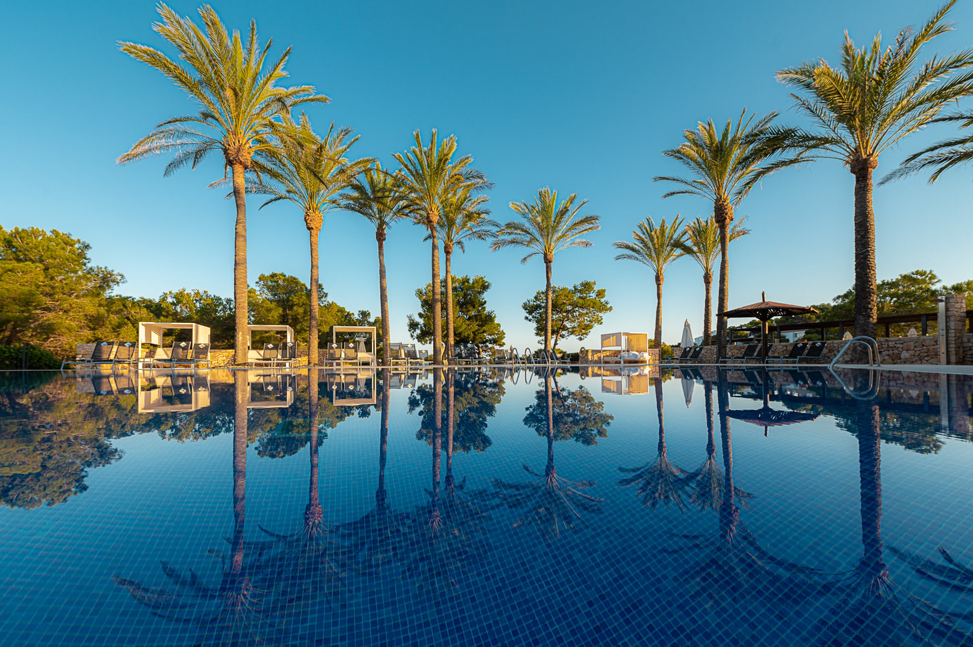 http://Piscine%20à%20débordement%20bordée%20de%20palmiers%20avec%20ciel%20dégagé%20à%20Majorque.