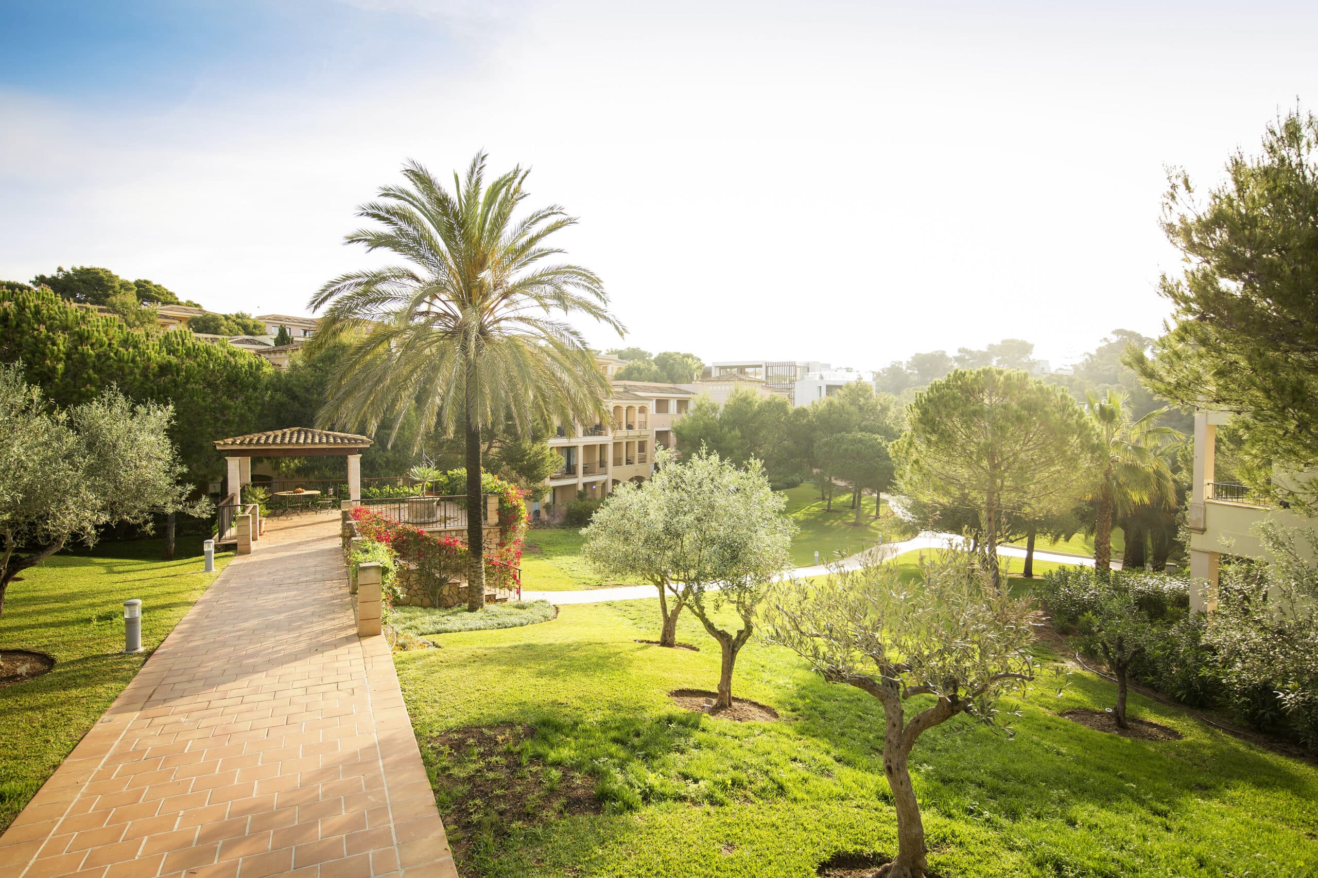 http://Allée%20pavée%20traversant%20un%20jardin%20verdoyant%20avec%20palmiers%20et%20oliviers.
