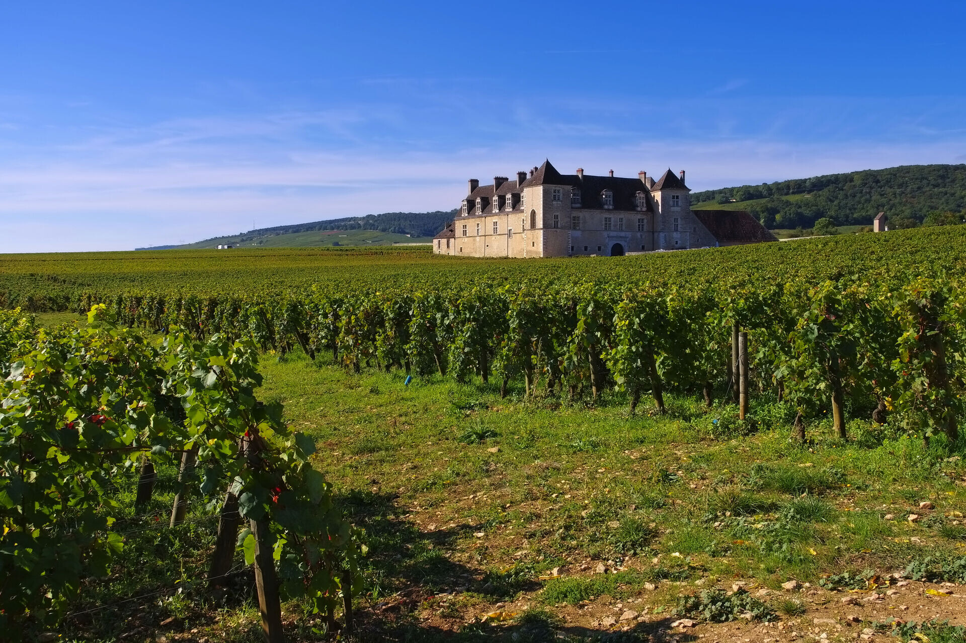 Escapade en Bourgogne