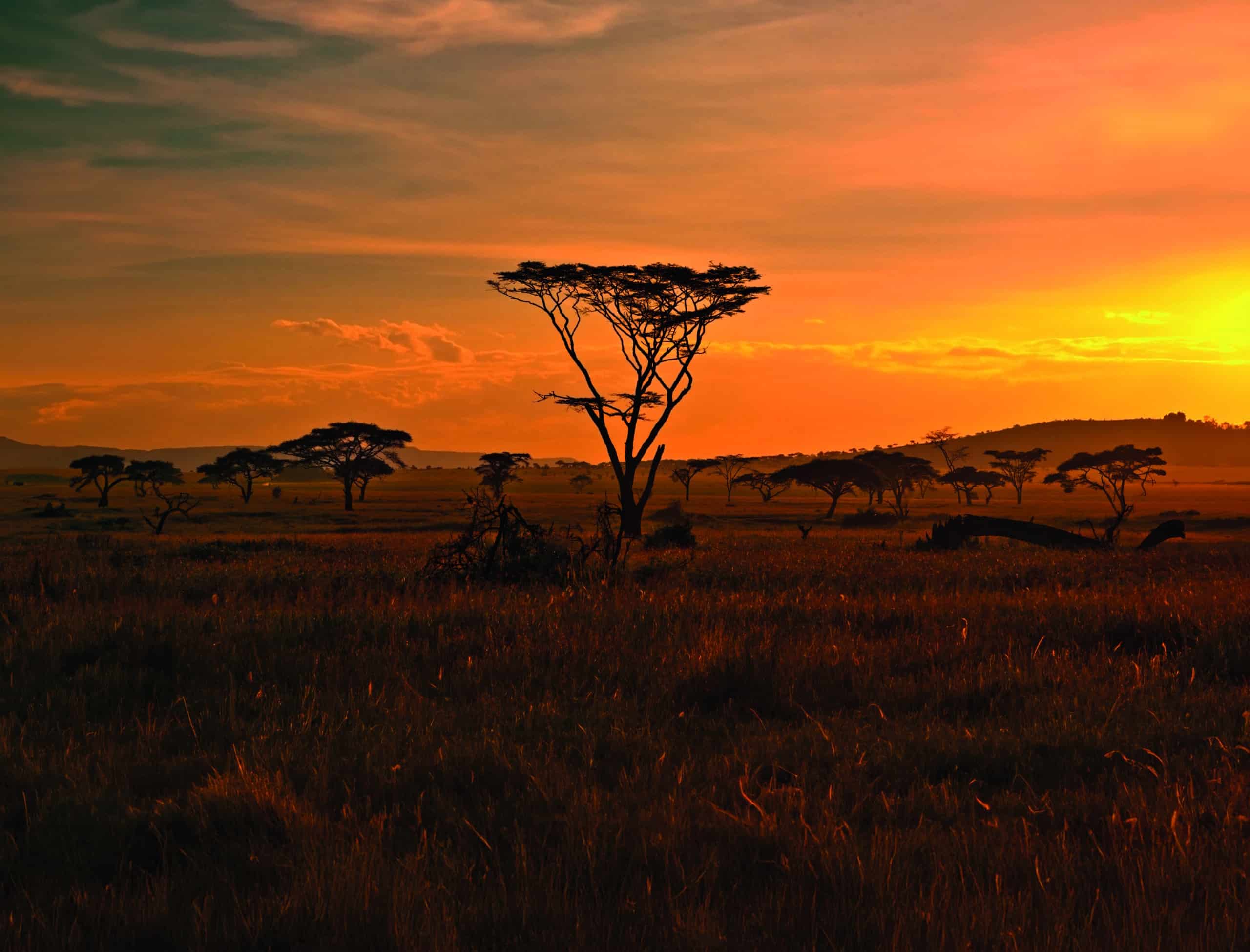 ERLEBNISSE – Private Rundreise in Tansania