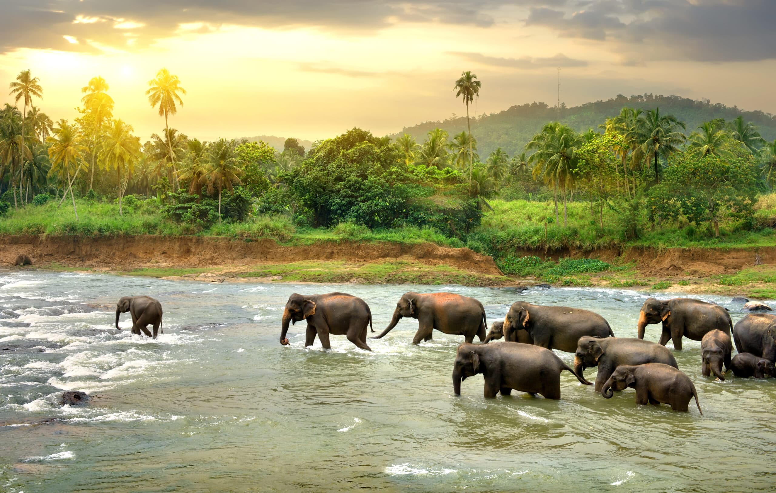 EXPERIENCES – Les splendeurs du Sri Lanka