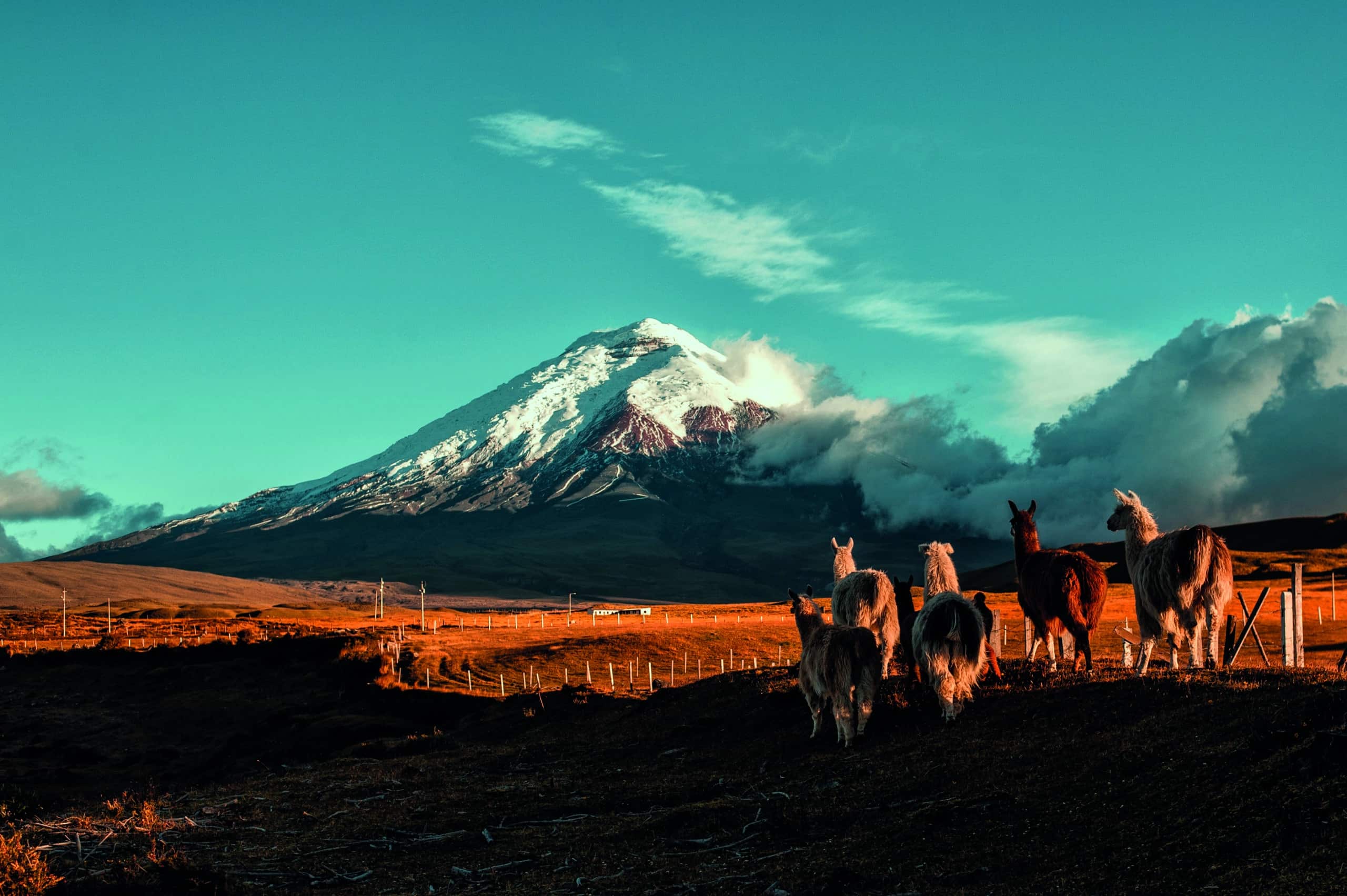 EXPERIENCES – Entre peuple et nature en Equateur