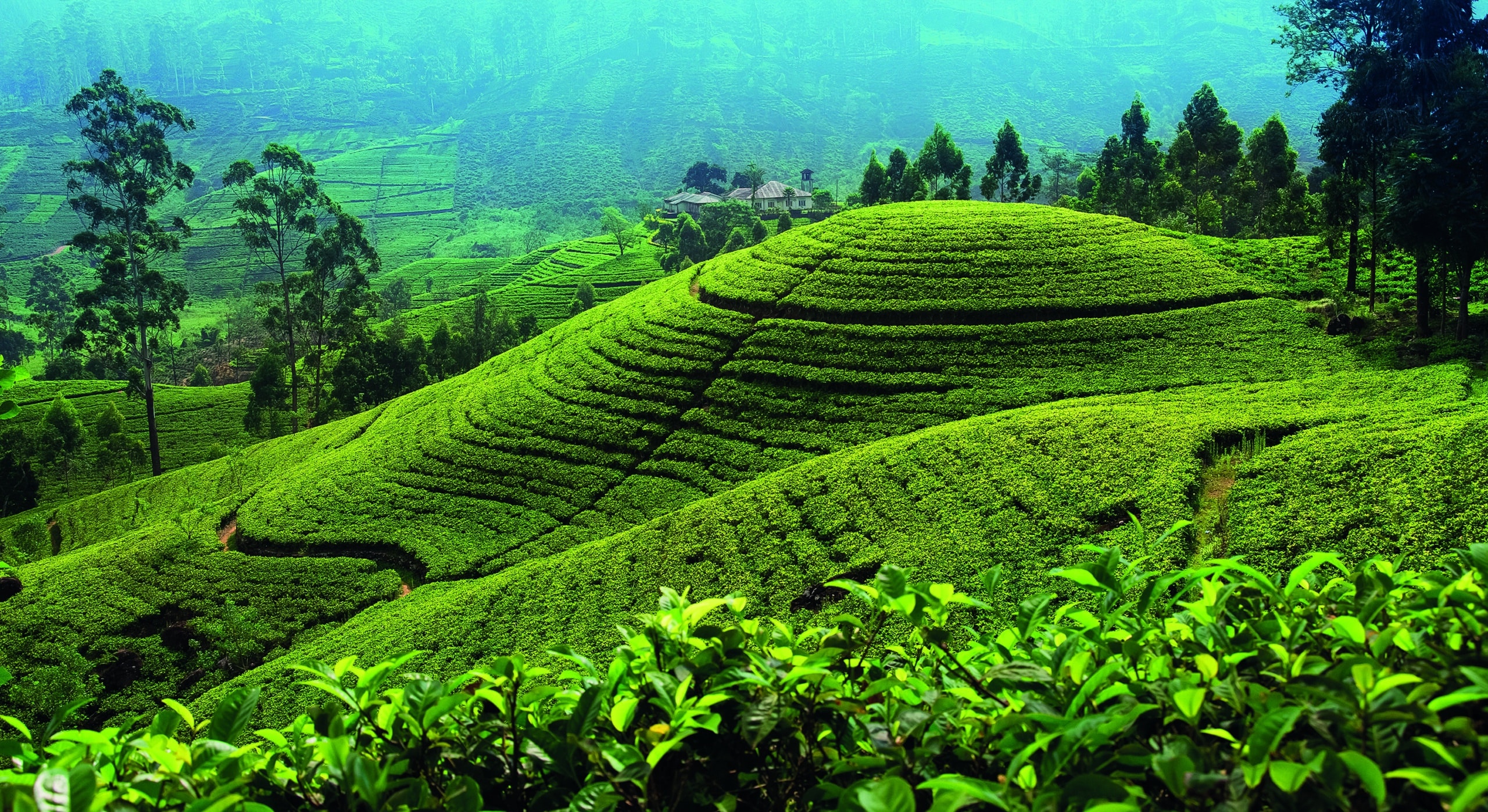 EXPERIENCES – Évasion au Sri Lanka