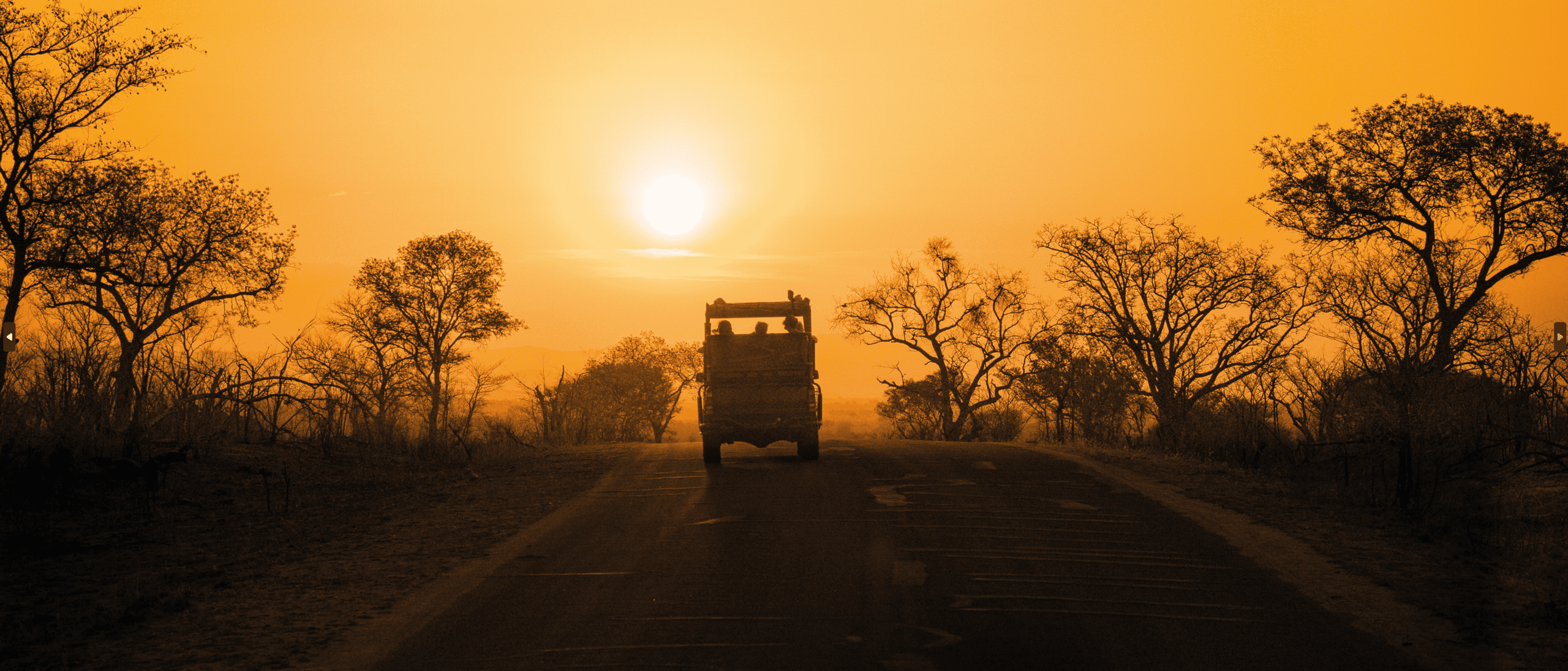 EXPERIENCES – Safari en Afrique du Sud
