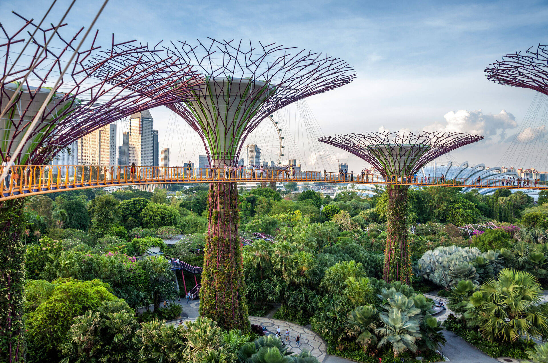 MSC Magnifica : World Cruise