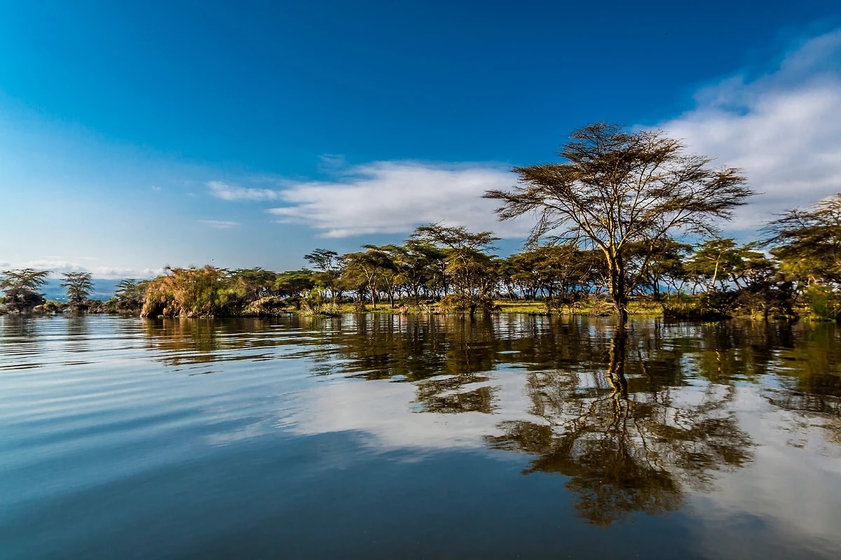 http://Lac%20africain%20avec%20arbres%20et%20reflets%20sur%20l’eau%20sous%20ciel%20bleu