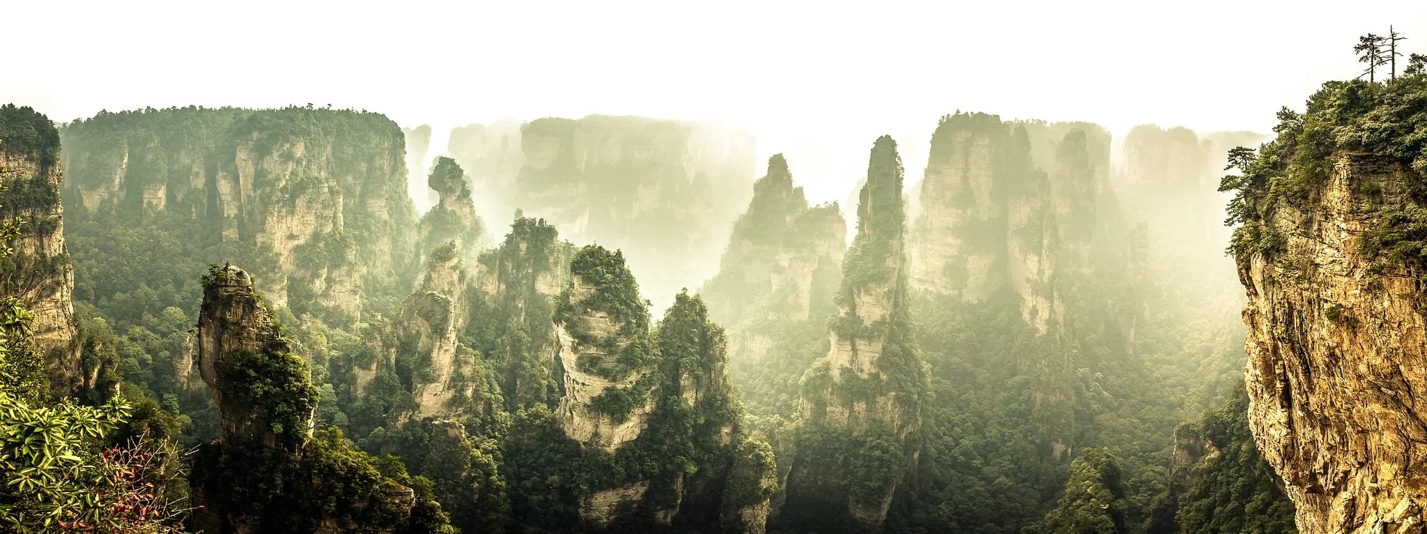 http://Pics%20rocheux%20verticaux%20entourés%20de%20brume%20dans%20le%20parc%20de%20Zhangjiajie