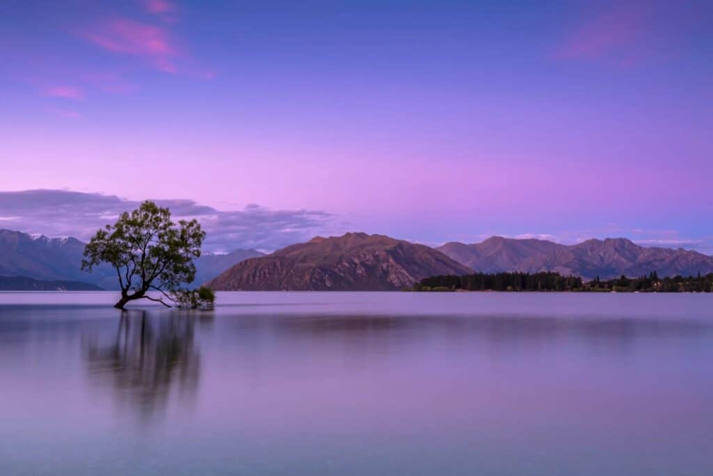 Arbre isolé dans un lac calme avec montagnes en arrière-plan au coucher du soleil