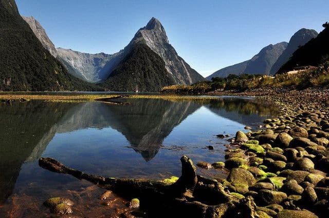 Paysage de Milford Sound avec montagnes abruptes et eau calme reflétant le relief