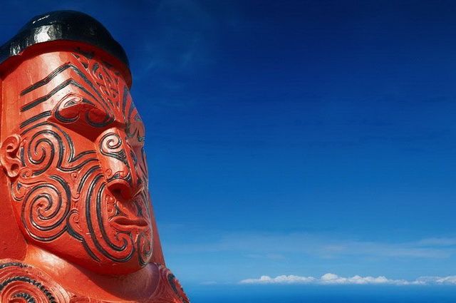 La nouvelle Zélande en liberté