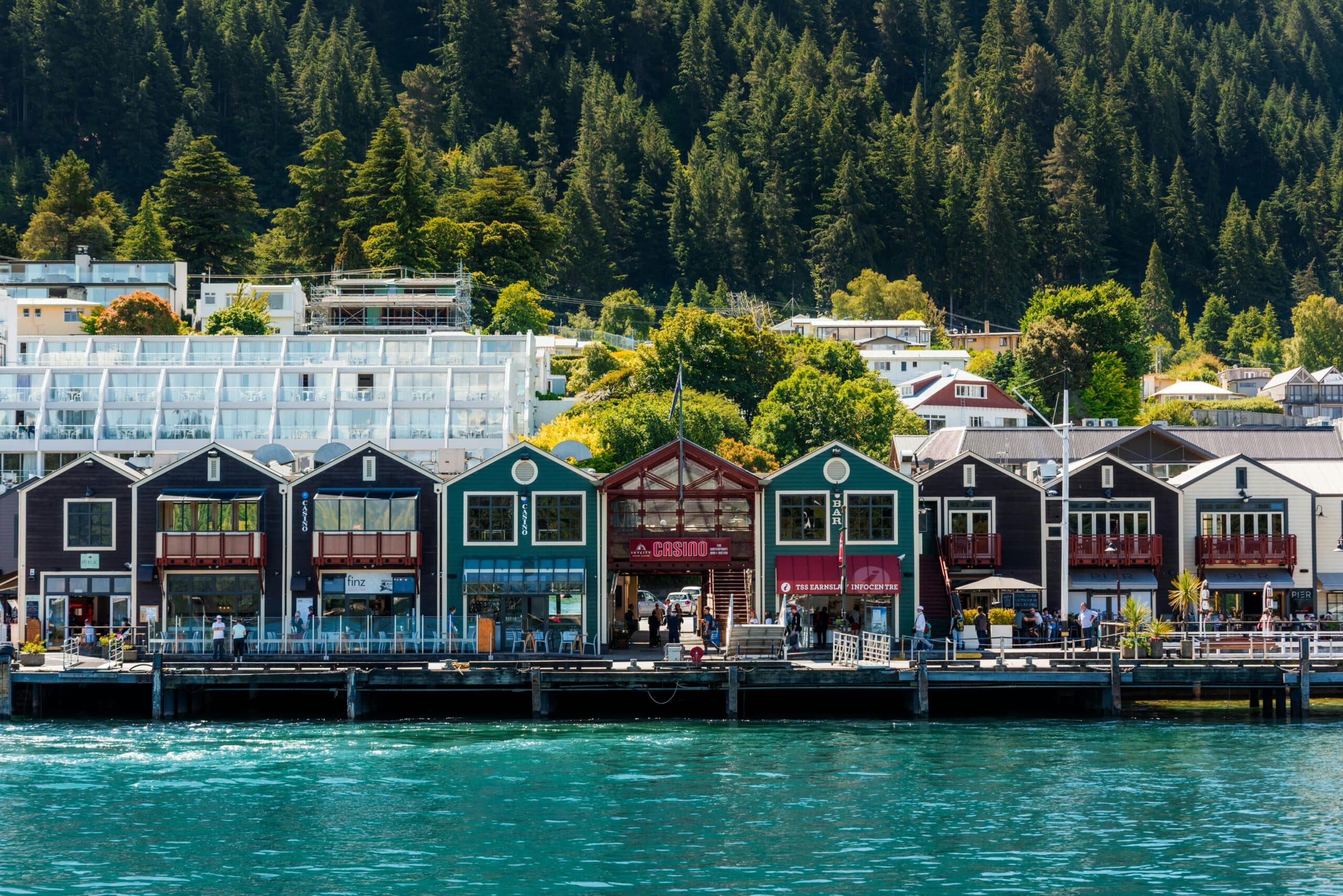La nouvelle Zélande en liberté
