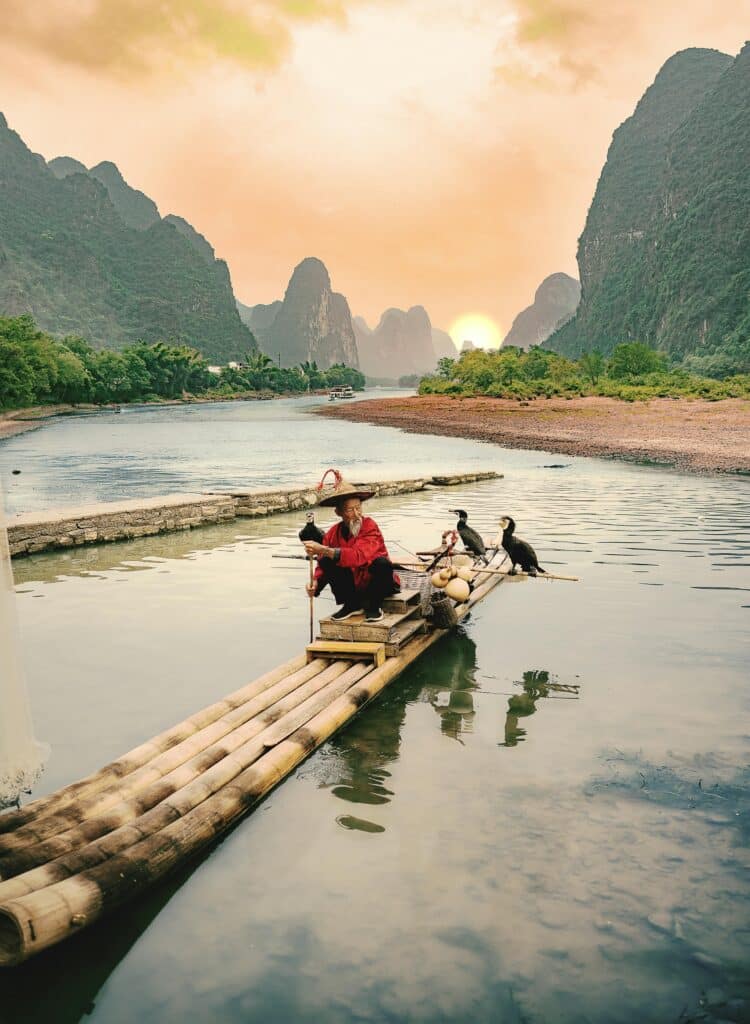 Pêcheur chinois sur radeau de bambou avec cormorans devant montagnes karstiques au coucher du soleil