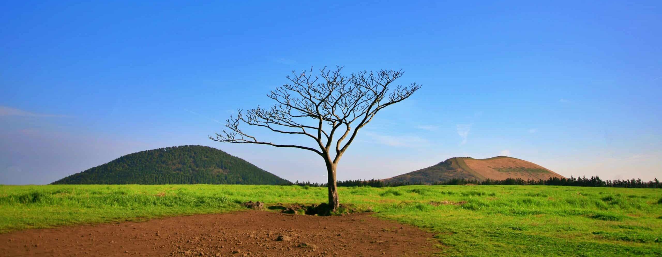 La Corée sauvage et volcanique