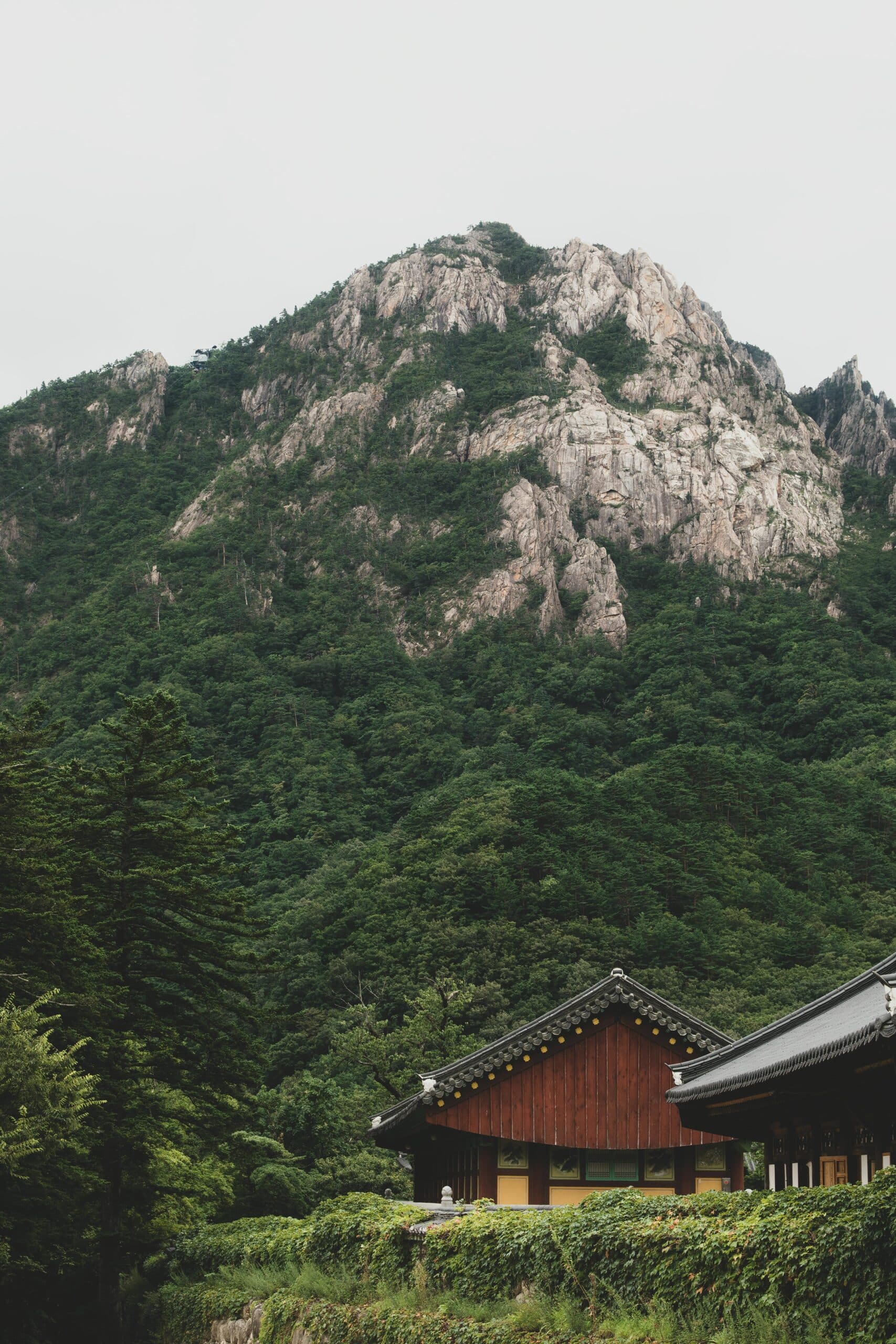 http://Montagne%20escarpée%20couverte%20de%20forêt%20avec%20temple%20traditionnel%20en%20contrebas