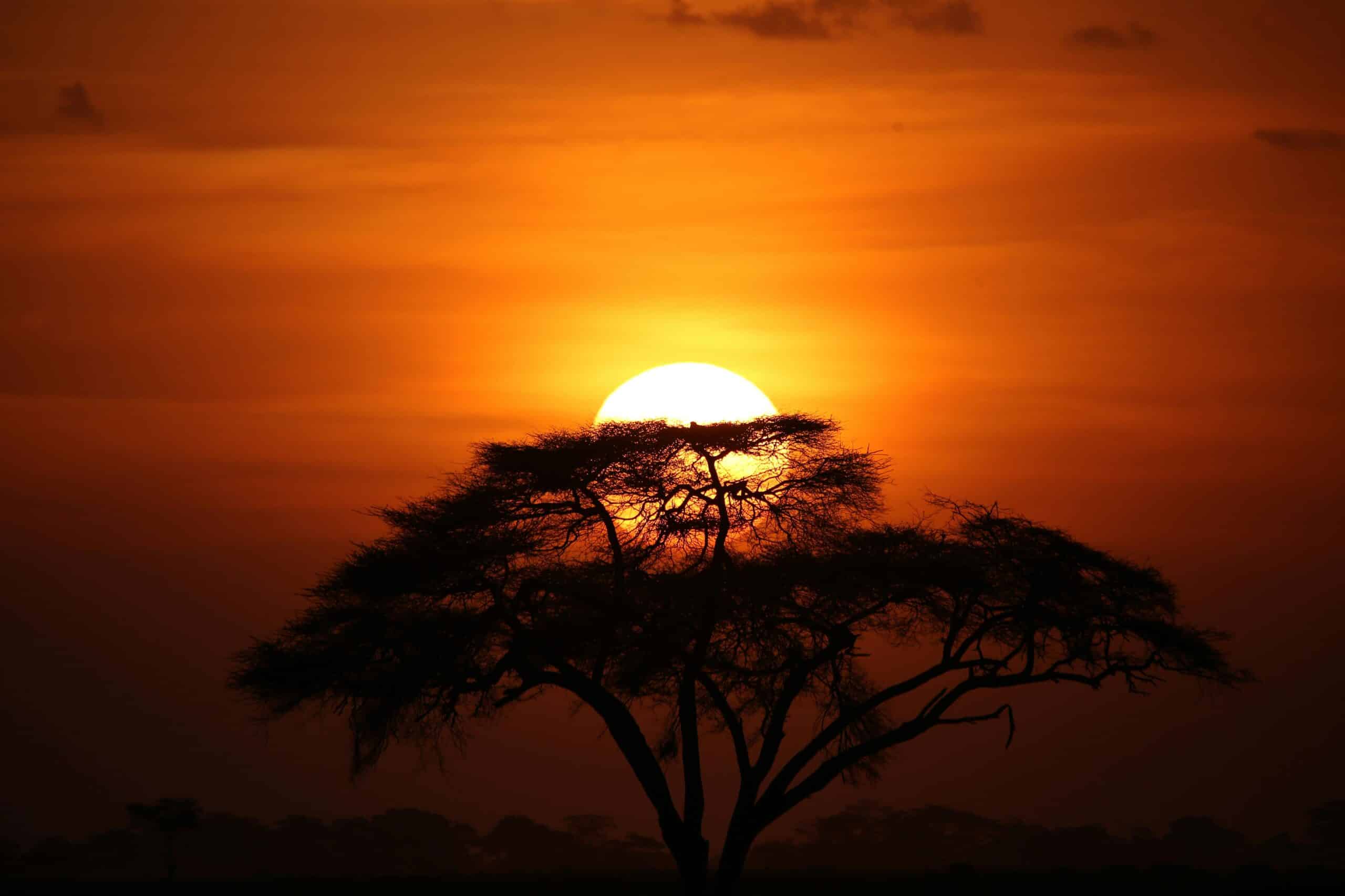 Intense Kenya in Private