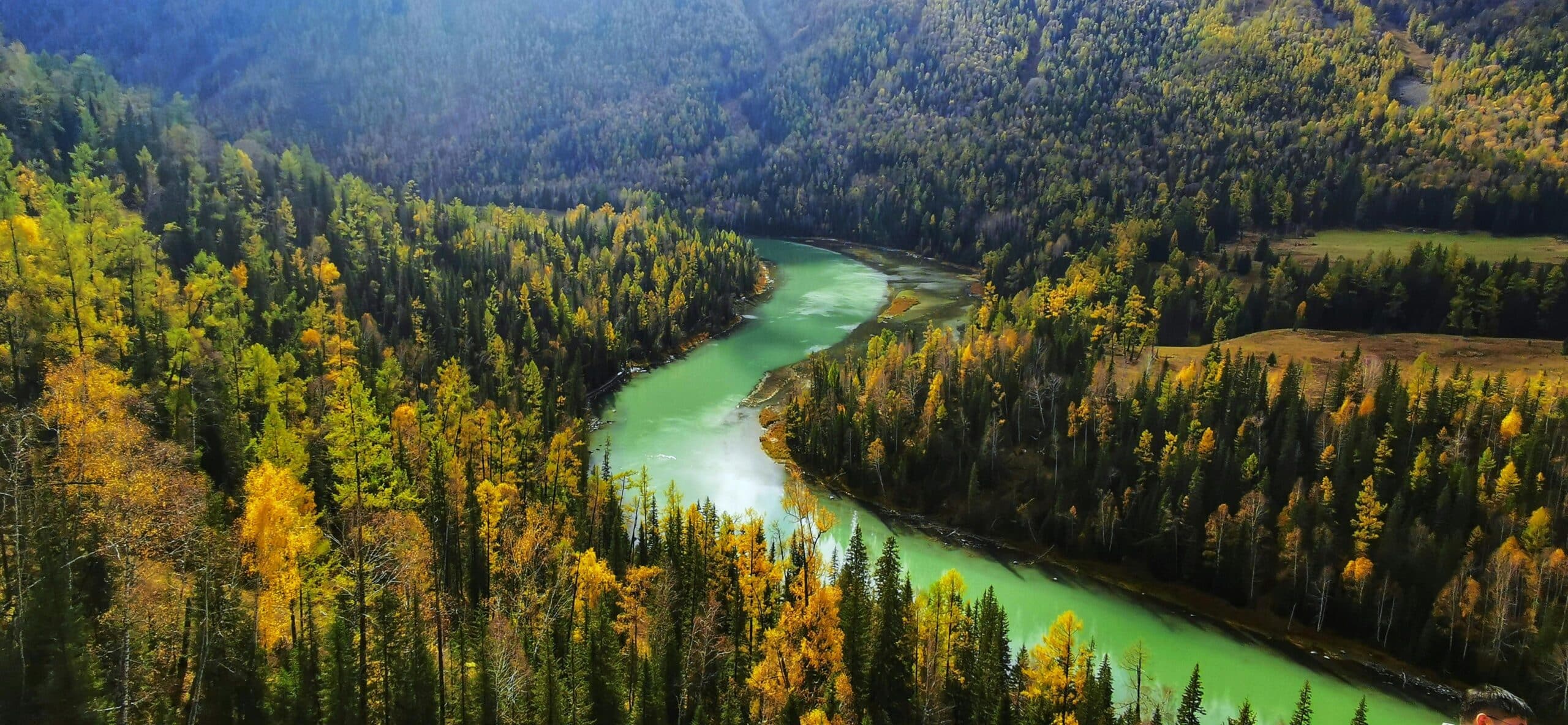 http://Rivière%20verte%20traversant%20une%20forêt%20aux%20couleurs%20automnales%20vue%20aérienne
