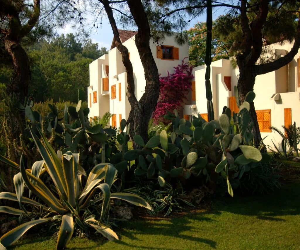 Villas blanches avec volets en bois entourées de cactus et végétation méditerranéenne