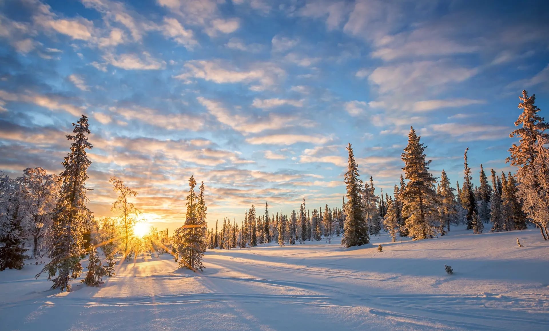 Croisière Aventure hivernale en Laponie