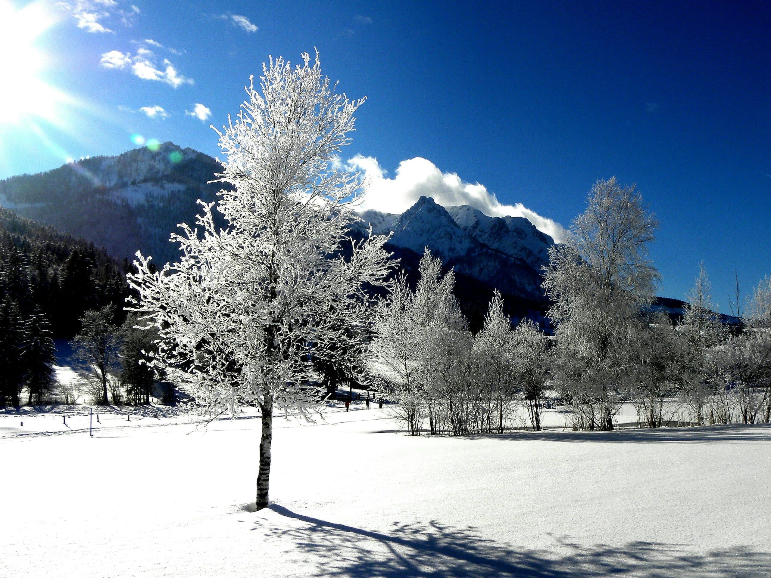 http://Un%20décor%20hivernal%20paisible%20au%20cœur%20des%20Alpes.