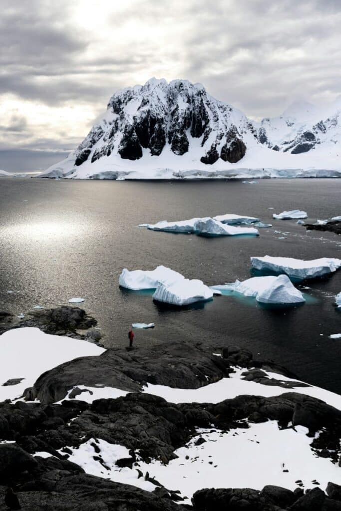 Icebergs flottants devant une côte rocheuse enneigée en Antarctique