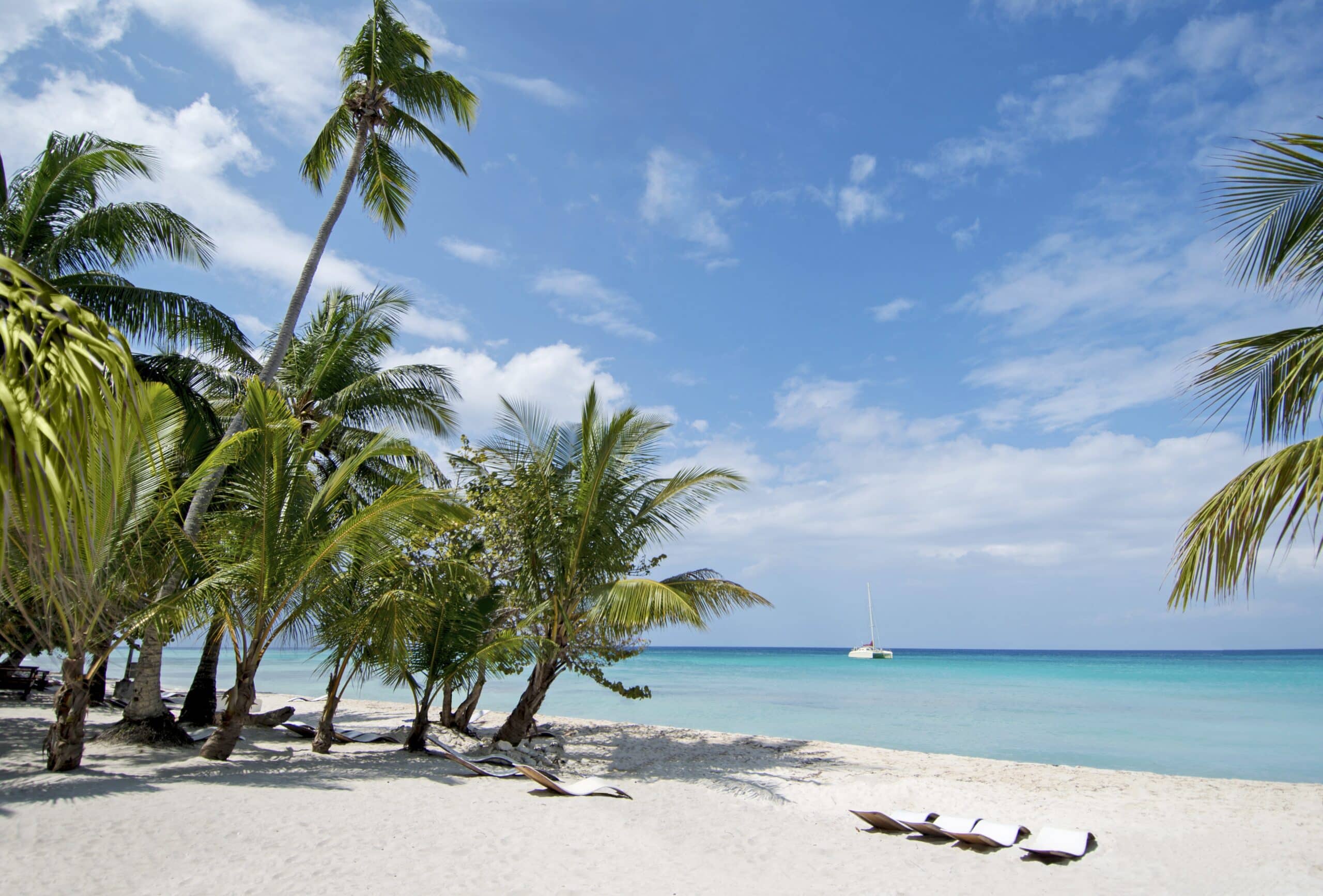 http://Plage%20tropicale%20de%20sable%20blanc%20bordée%20de%20palmiers%20avec%20mer%20turquoise%20et%20voilier%20au%20large.