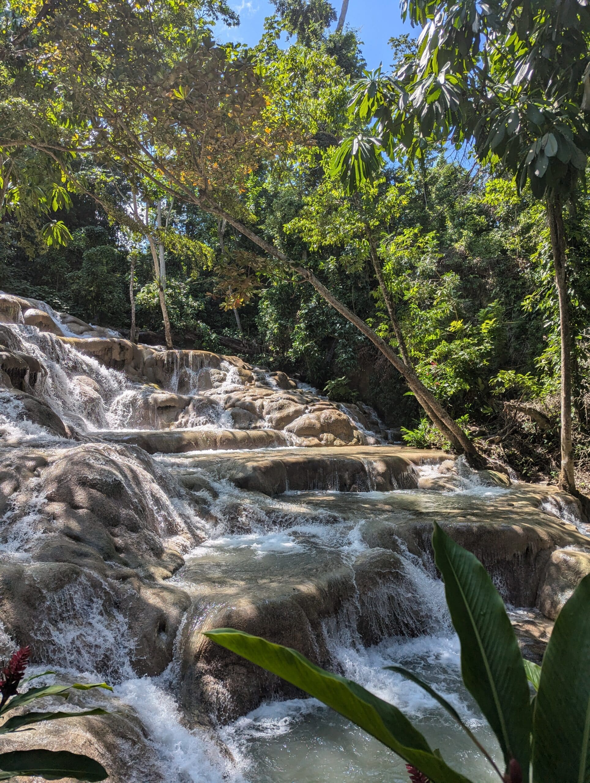 http://Cascade%20en%20terrasses%20traversant%20des%20roches%20calcaires%20au%20milieu%20d'une%20forêt%20tropicale%20luxuriante%20en%20Jamaïque.