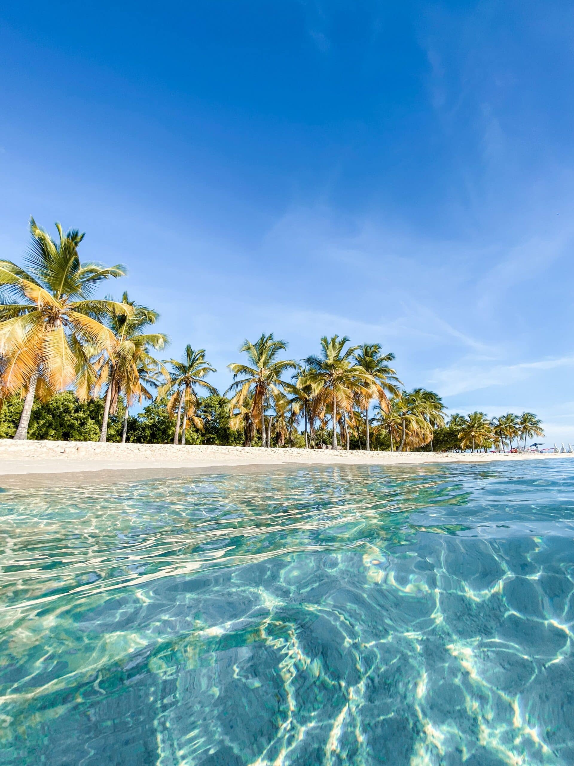 http://Plage%20bordée%20de%20cocotiers%20avec%20eau%20turquoise%20transparente%20et%20sable%20blanc%20dans%20les%20Caraïbes.