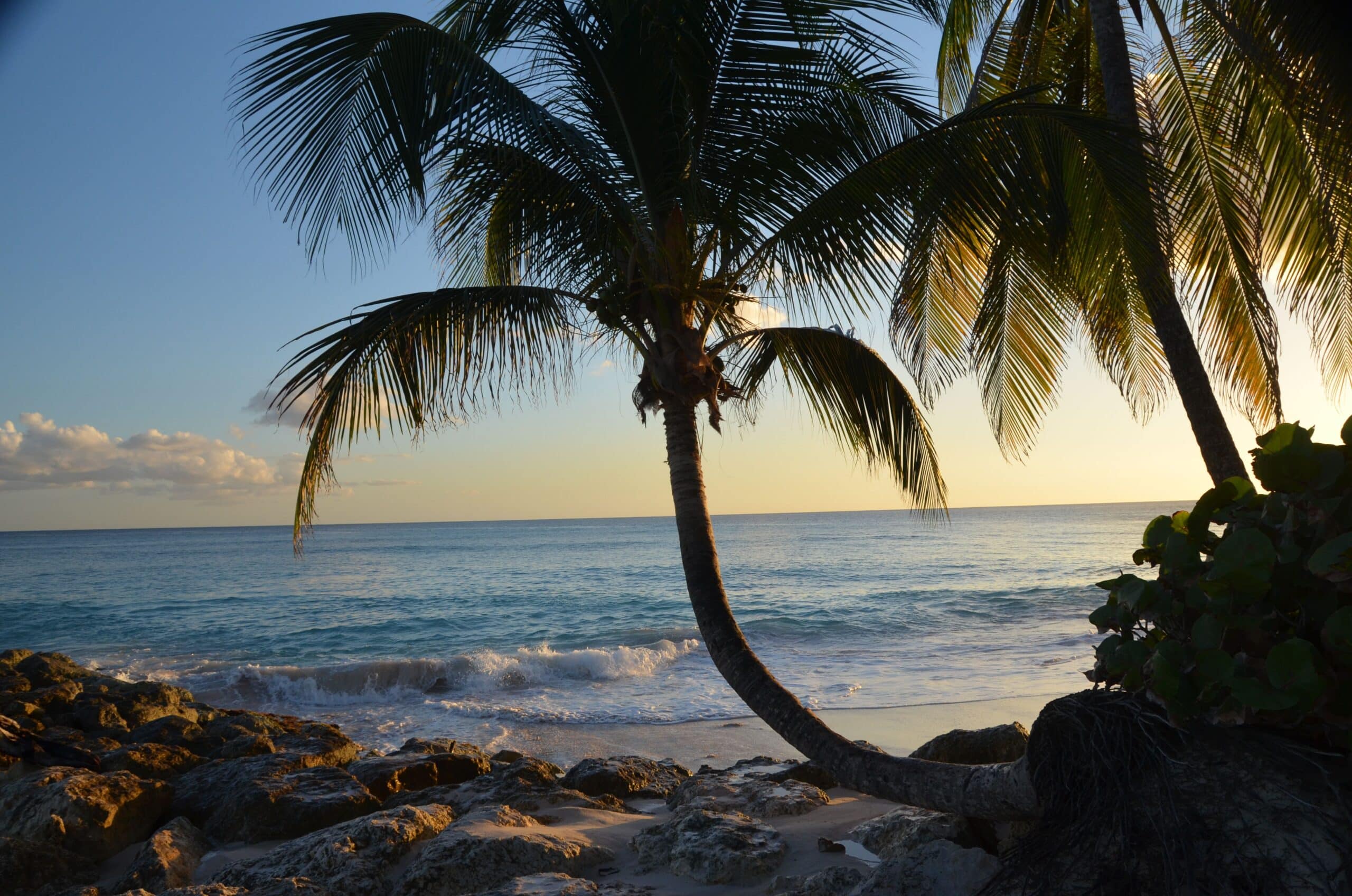 http://Palmier%20courbé%20sur%20une%20plage%20rocheuse%20bordant%20la%20mer%20au%20coucher%20du%20soleil%20aux%20Bahamas.
