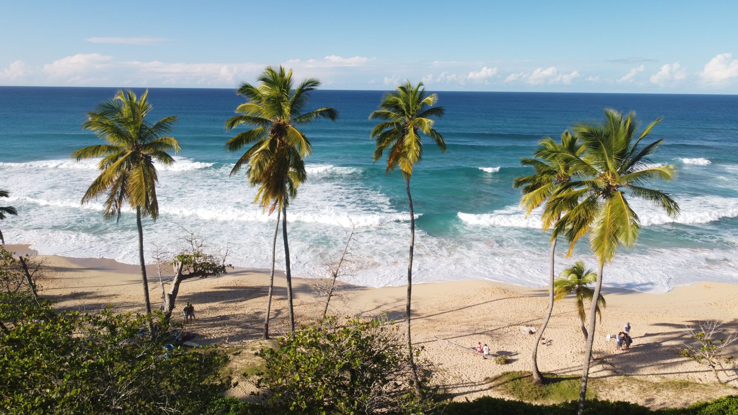 http://Plage%20de%20sable%20doré%20bordée%20de%20palmiers%20avec%20vagues%20turquoise%20sur%20la%20côte%20des%20Caraïbes.